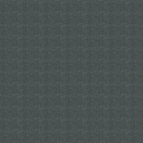 Gris foncé